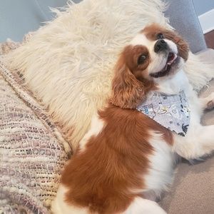 Meet your Posher, Whitney